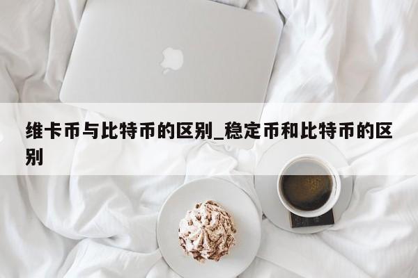 维卡币与比特币的区别_稳定币和比特币的区别