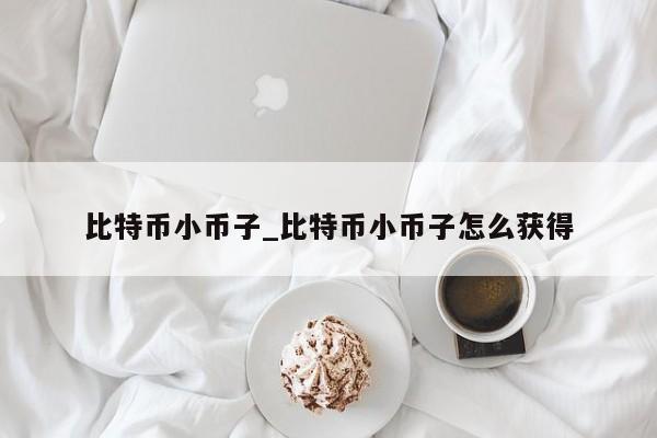 比特币小币子_比特币小币子怎么获得