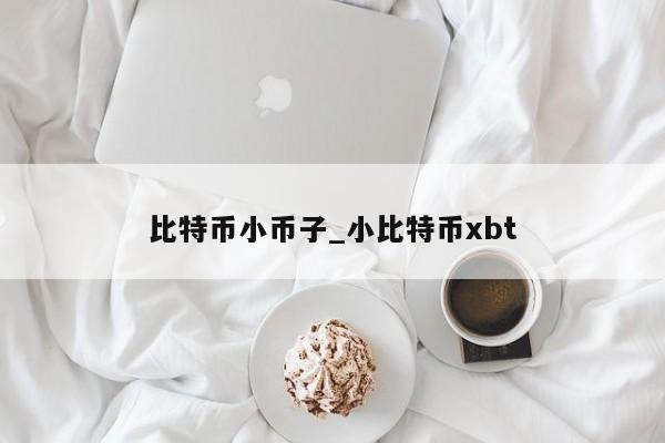 比特币小币子_小比特币xbt